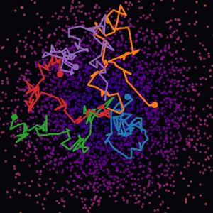 Brownian Motion simulation