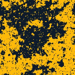The 2D Ising Model simulation
