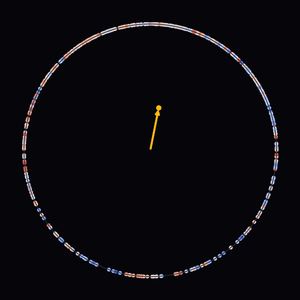Kuramoto Synchronization simulation