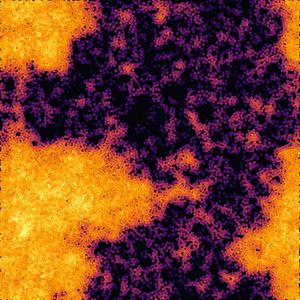 Motility-Induced Phase Separation simulation