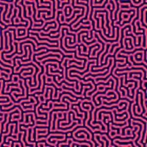 Reaction-Diffusion (Turing Patterns) simulation